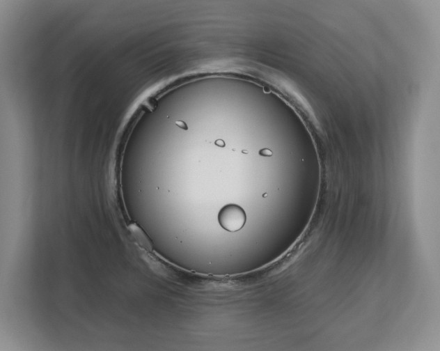 X0000113031328200909031244