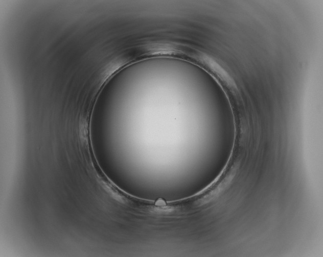 X0000113031329200909031244