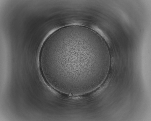 X0000113031331200909031244