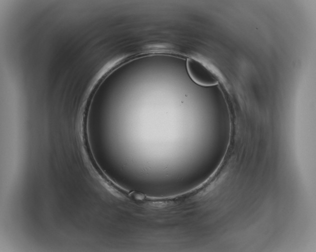 X0000113031333200909031244