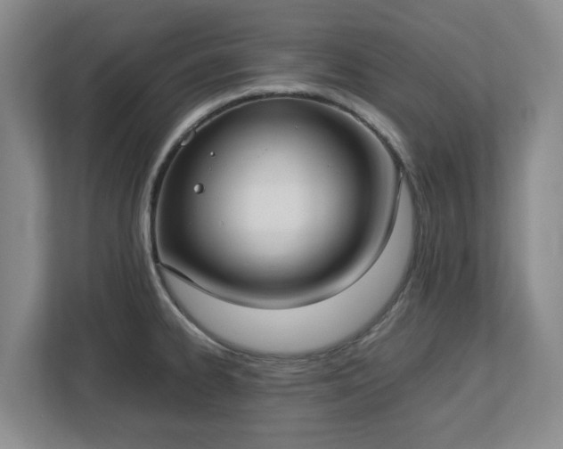 X0000113031334200909031244