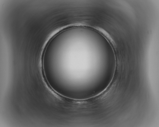 X0000113031335200909031244