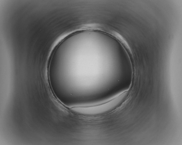 X0000113031336200909031244