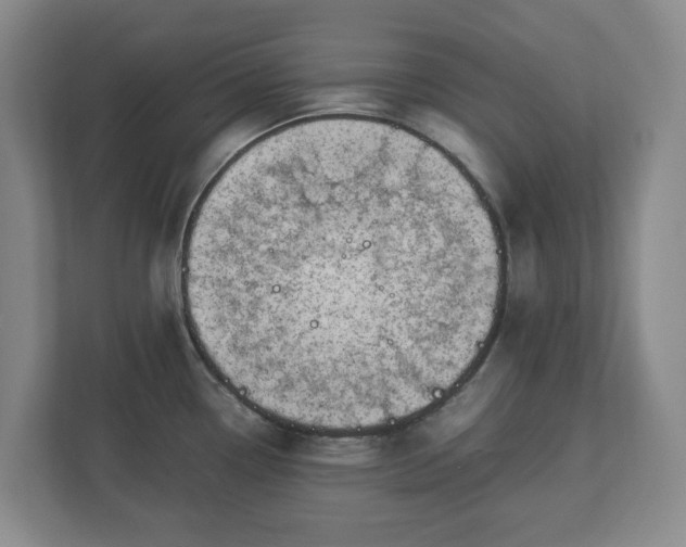 X0000113031338200909031244