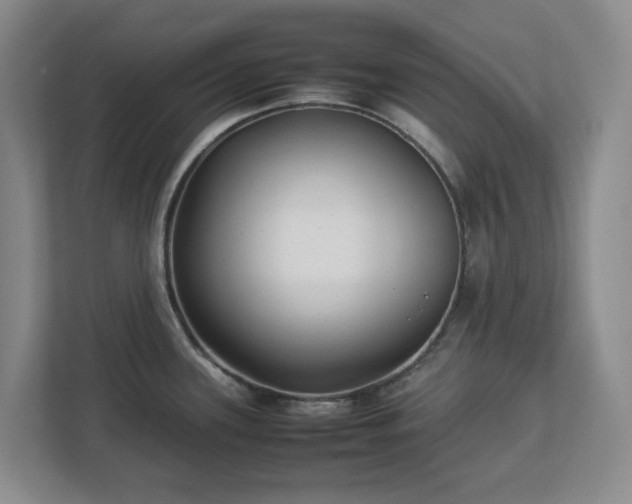 X0000113031339200909031244