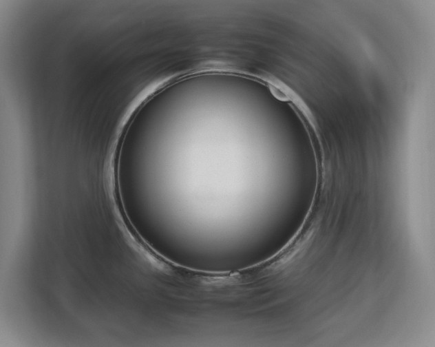 X0000113031341200909031244