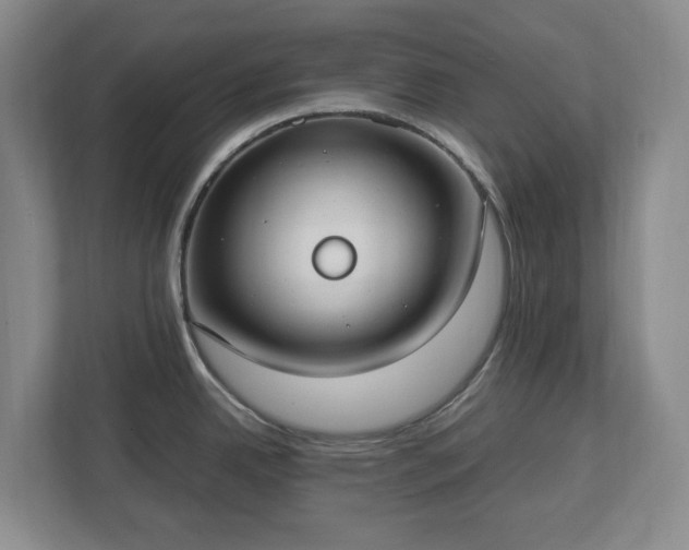 X0000113031342200909031244