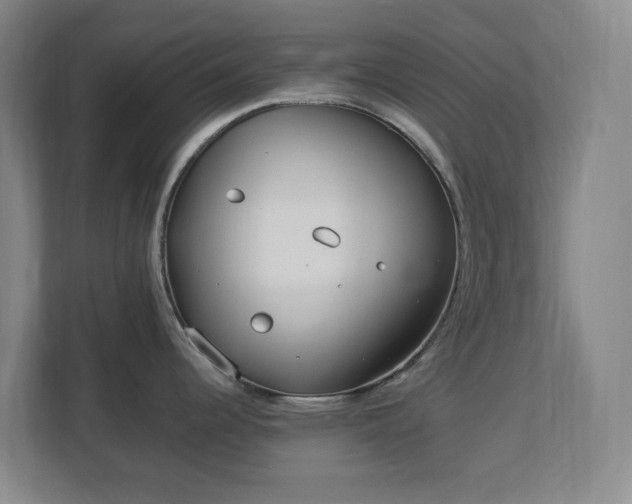 X0000113031344200909031244