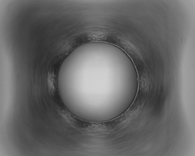 X0000113031346200909031243