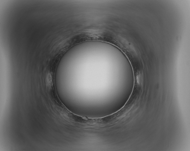 X0000113031347200909031243