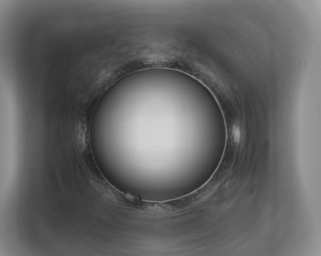 X0000113031348200909031243