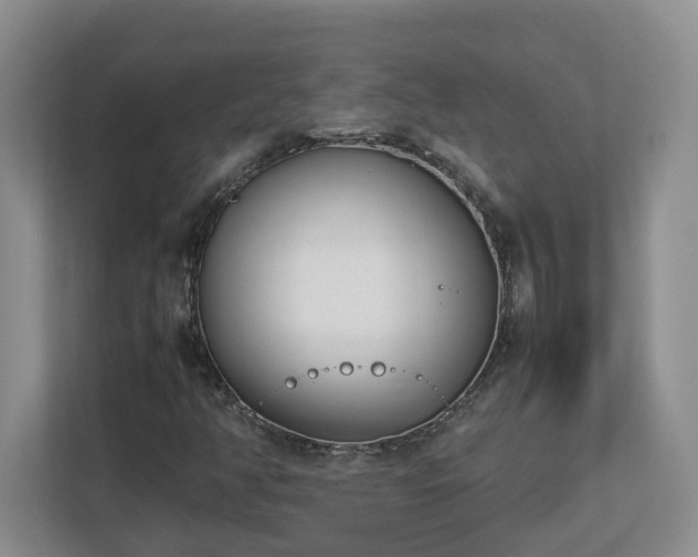 X0000113031350200909031243