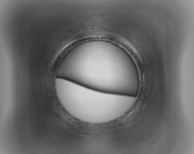 X0000113031352200909031243