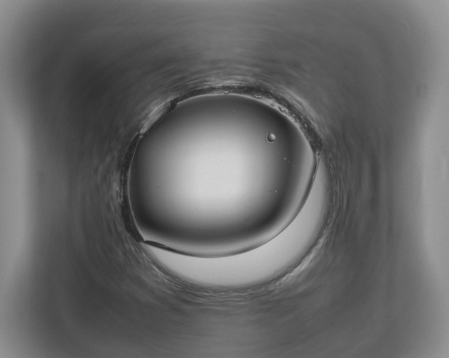 X0000113031353200909031243