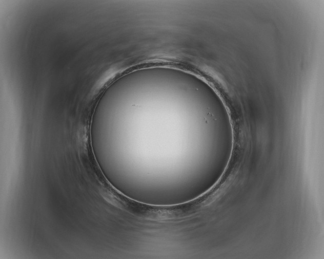 X0000113031355200909031243