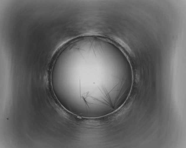 X0000113031356200909031243