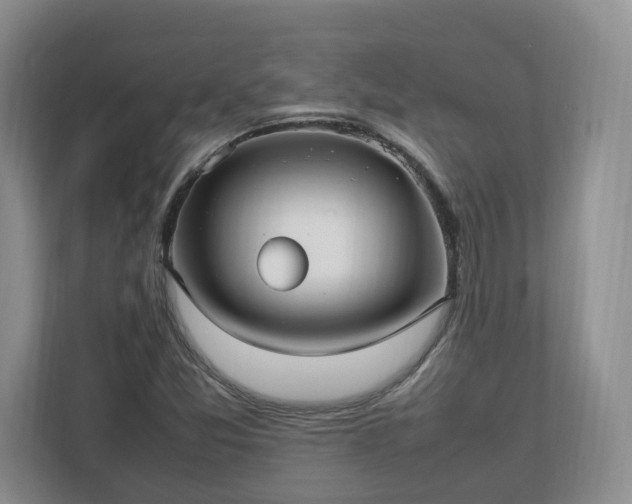 X0000113031357200909031243