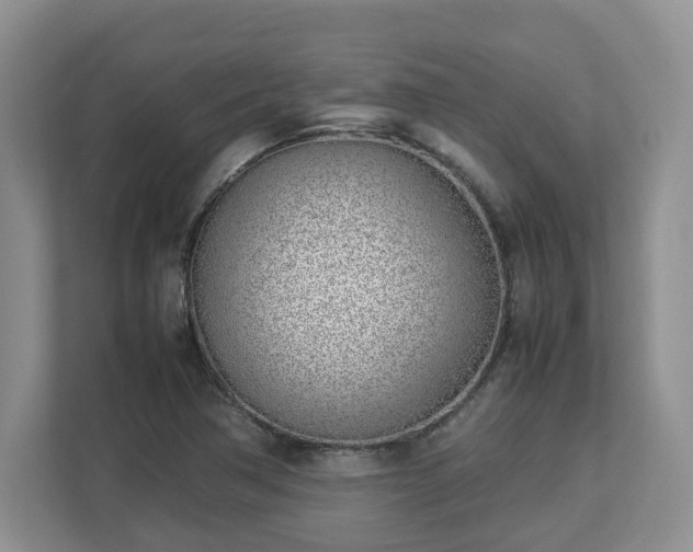 X0000113031362200909031243