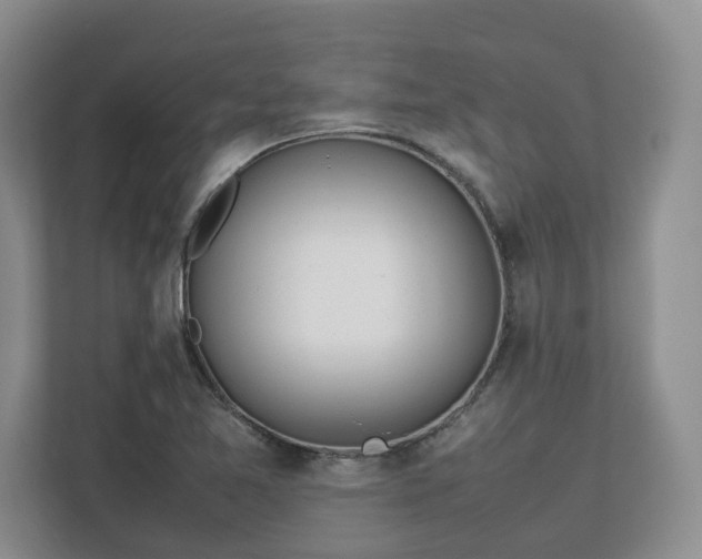 X0000113031365200909031243