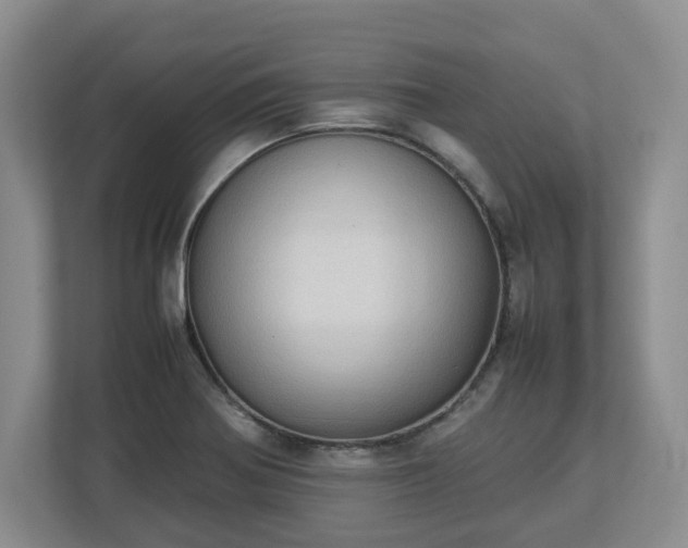 X0000113031370200909031243