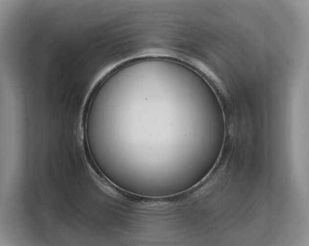 X0000113031372200909031243