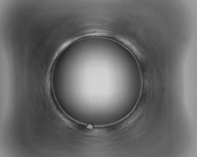 X0000113031375200909031243