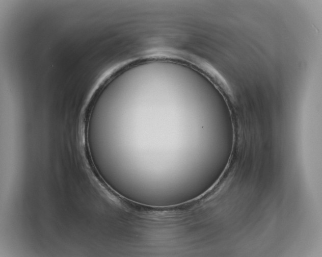 X0000113031376200909031243