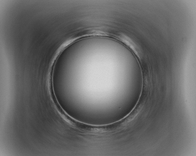 X0000113031379200909031243