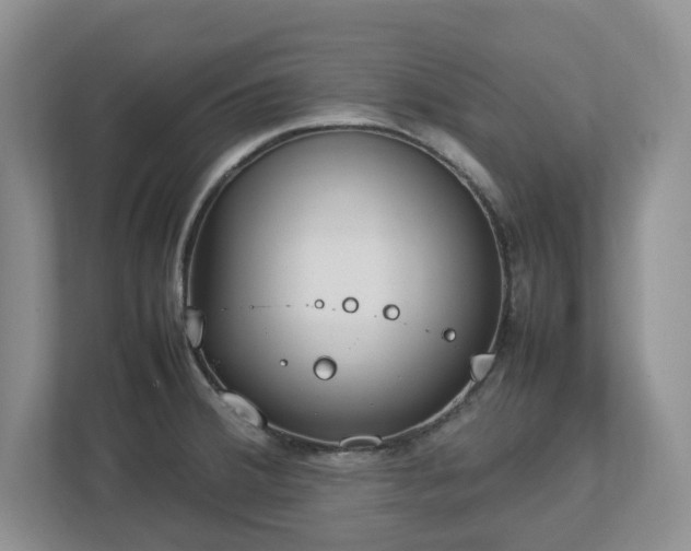 X0000113031380200909031243