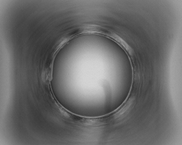 X0000113031385200909031243