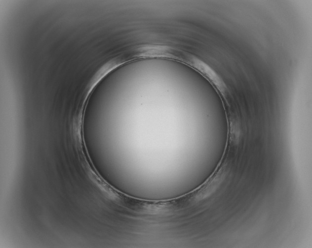 X0000113031386200909031243