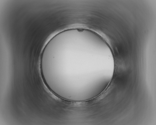 X0000113031390200909031243