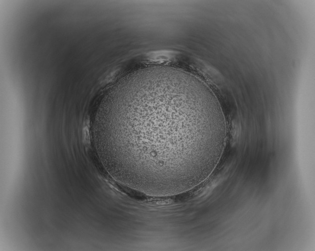 X0000113031394200909031242