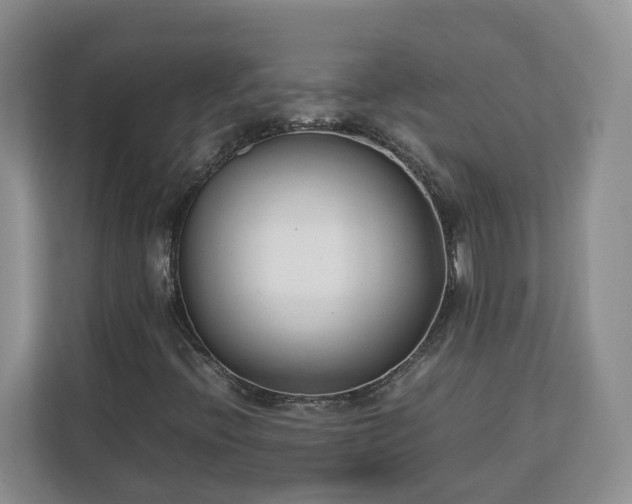 X0000113031396200909031242