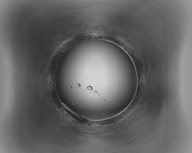 X0000113031398200909031242