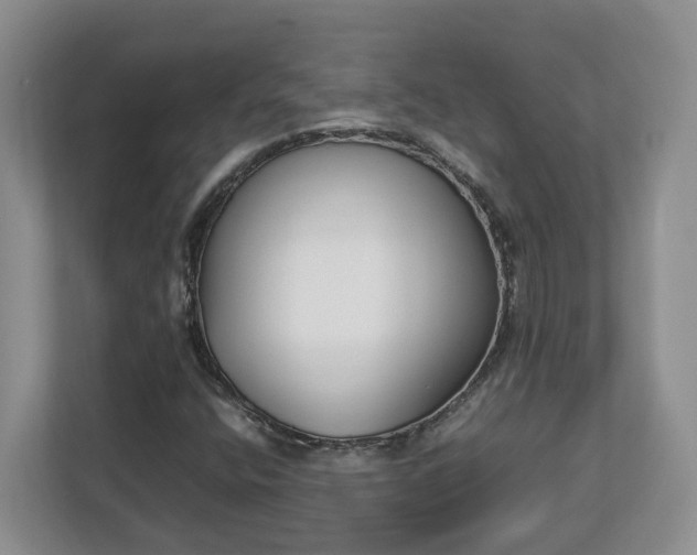 X0000113031400200909031242