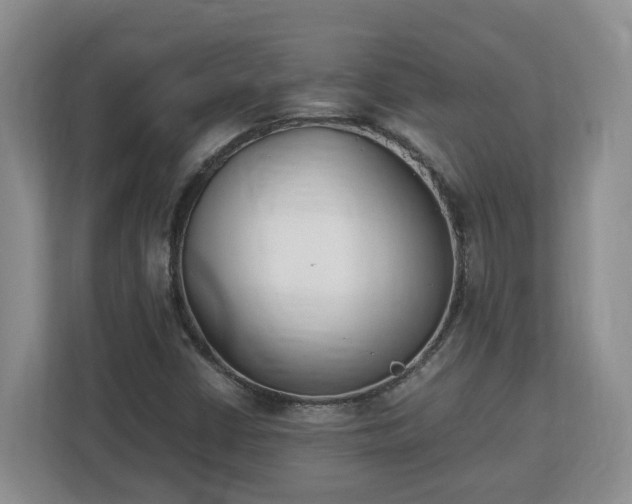 X0000113031402200909031242