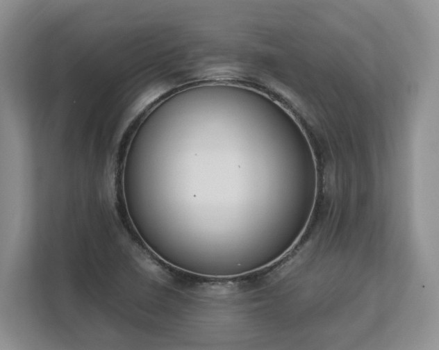 X0000113031410200909031242