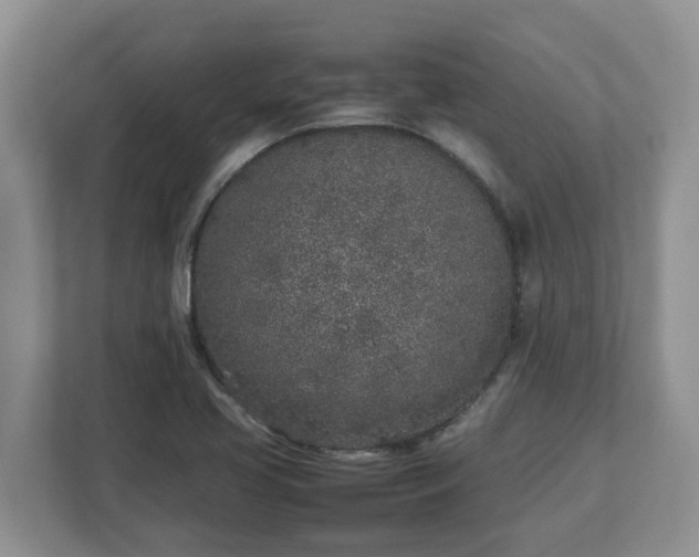 X0000113031413200909031242