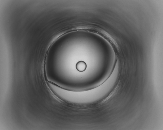 X0000113031417200909031242