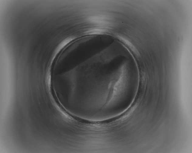 X0000113031418200909031242