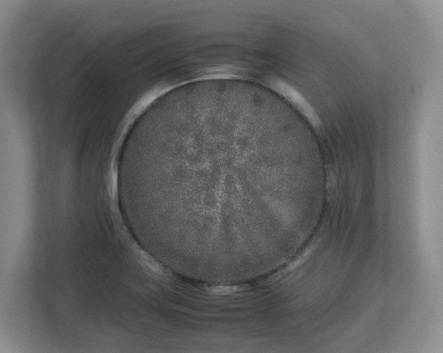 X0000113031419200909031242