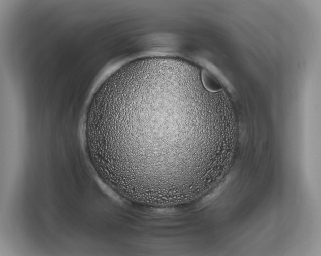 X0000113031421200909031242