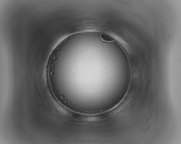 X0000113031423200909031242