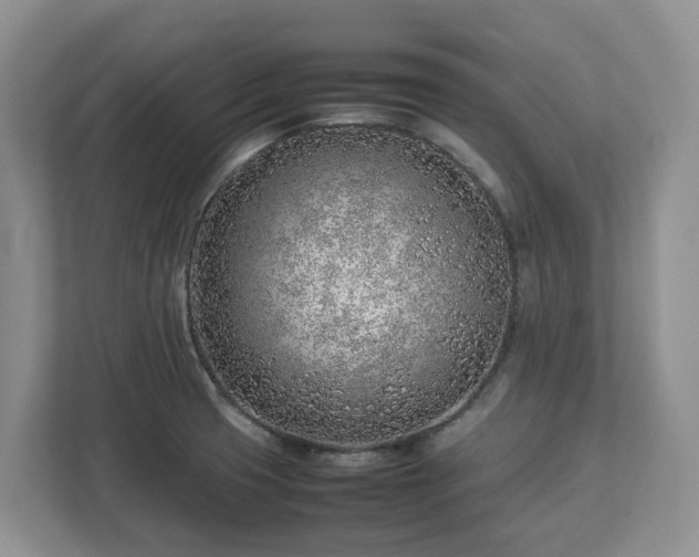 X0000113031425200909031242