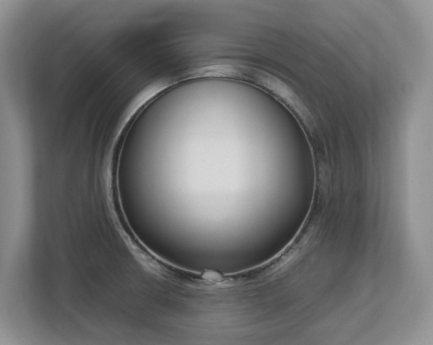 X0000113031426200909031242