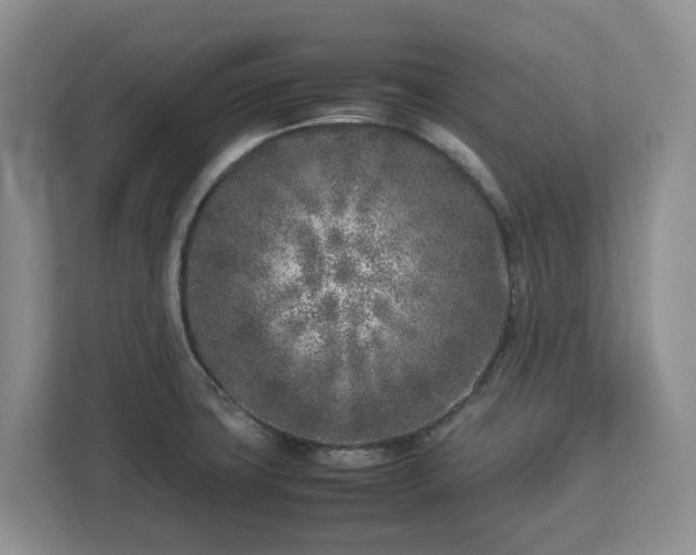 X0000113031427200909031243