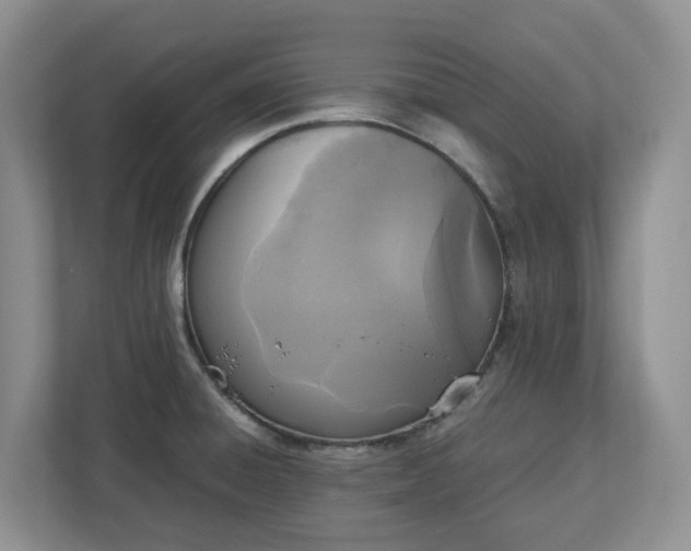 X0000113031428200909031243