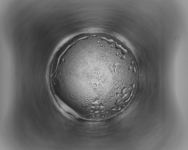 X0000113031429200909031243