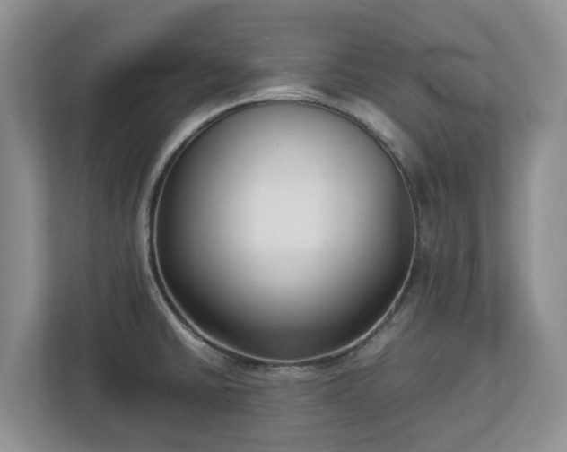 X0000113031430200909031243